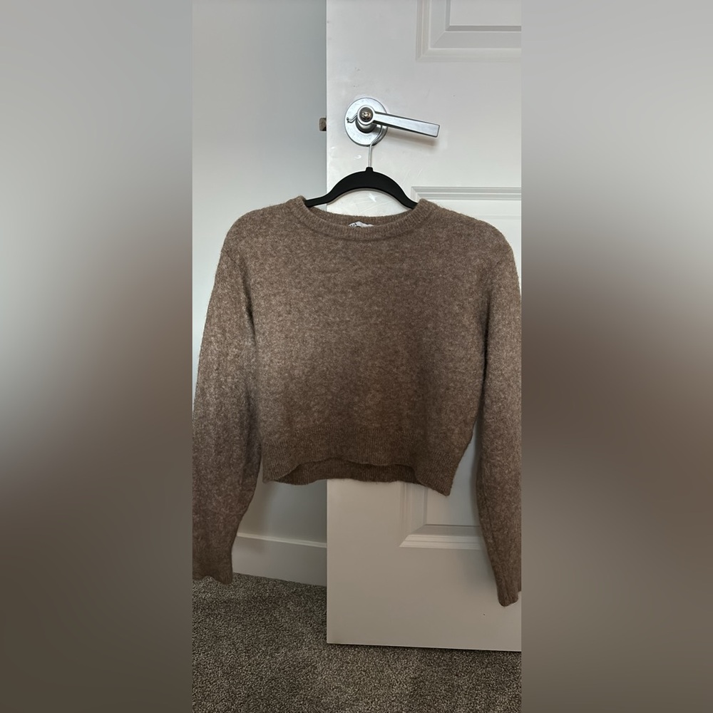 Brown Zara Sweater XS